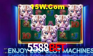 Login Seguro 5588Bet